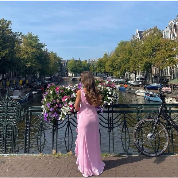 Runaway The Label Suzannah Ruffle Maxi Gown Dress Pink Size Small - Picture 5 of 11